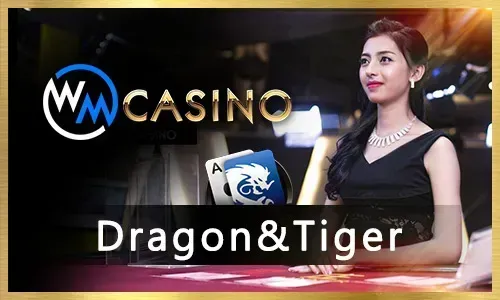 JL Ladies Bag free spins bonus